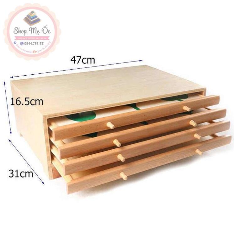 Tủ đựng các mẫu lá cây Montessori (Botany Leaf Cabinet)