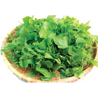 BÍ ĂN NGỌN - 10 gram/ gói