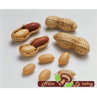 Hạt lạc sen 400g - Nấm Lý tưởng