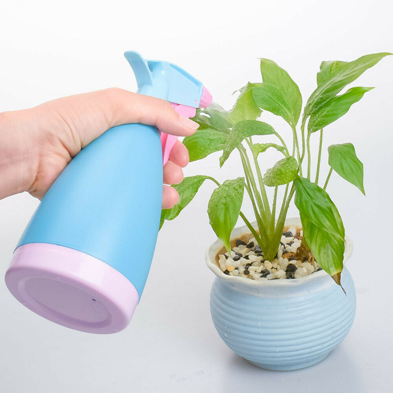 Bình xịt nước tưới cây thiết kế màu sắc xinh xắn tiện lợi
