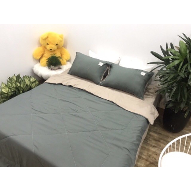 Sét chăn hè trần bông nhập khẩu