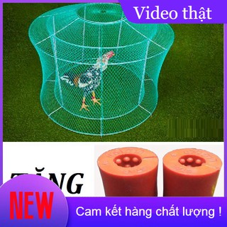 [DN123] Lồng tập thể lực cho gà - Tặng tạ chân