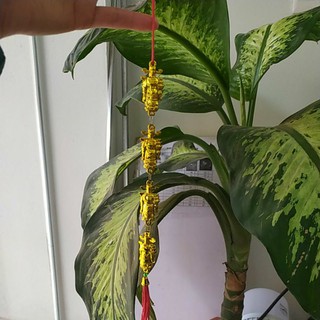 Khánh ( liễng) thần tài ,dây thỏi vàng khánh vải trang trí tết hoa các loại