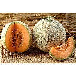 Hạt Giống Dưa Lưới