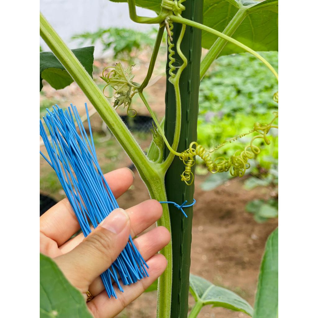 100 dây kẽm bọc nhựa 10cm