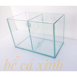Bể nuôi cá mini ngăn đôi( 25*14*16cm)- bể cá trang trí
