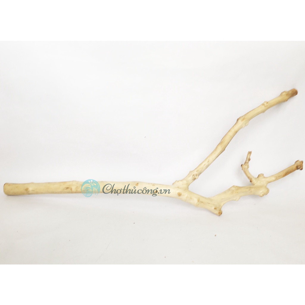 Combo 2 Nhánh lũa, Cành cây khô tự nhiên nhiều hình dạng KT D40-60cm dùng trang trí, decor vintage