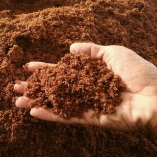 2kg mụn xơ dừa dùng trồng cây