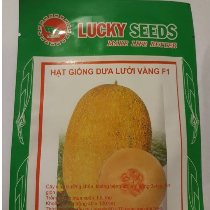 Hạt giống Dưa lưới vàng siêu ngọt - 10 hạt tặng kèm 3 viên nén ươm hạt - HGT
