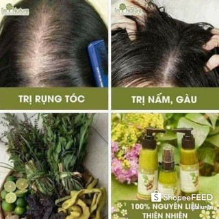 dầu gội trị rụng tóc, kích mọc tóc