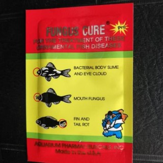 Fungus cure - nấm,mắt,vây cá