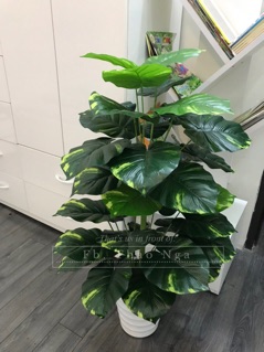 Cây trầu bà giả 1m
