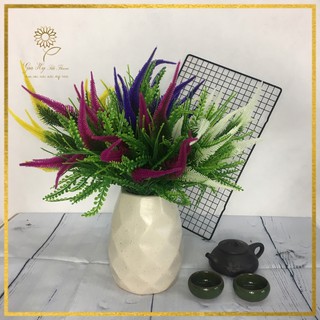 Bụi cỏ đuôi chồn _ Hoa vải Gia Hy