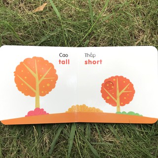Ô Cửa Diệu Kì - So Sánh