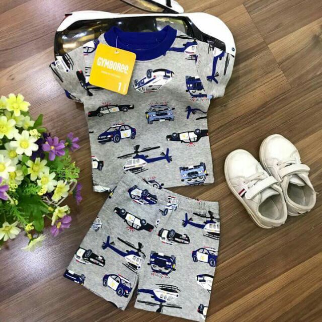 Combo Đồ bộ Carter bé trai