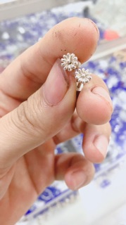 bông tai bạc hoa cúc cho bé