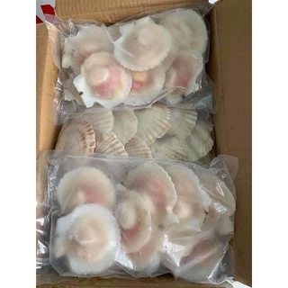 Điệp Nhật nửa mảnh - Nướng phô mai mỡ hành nhức nách