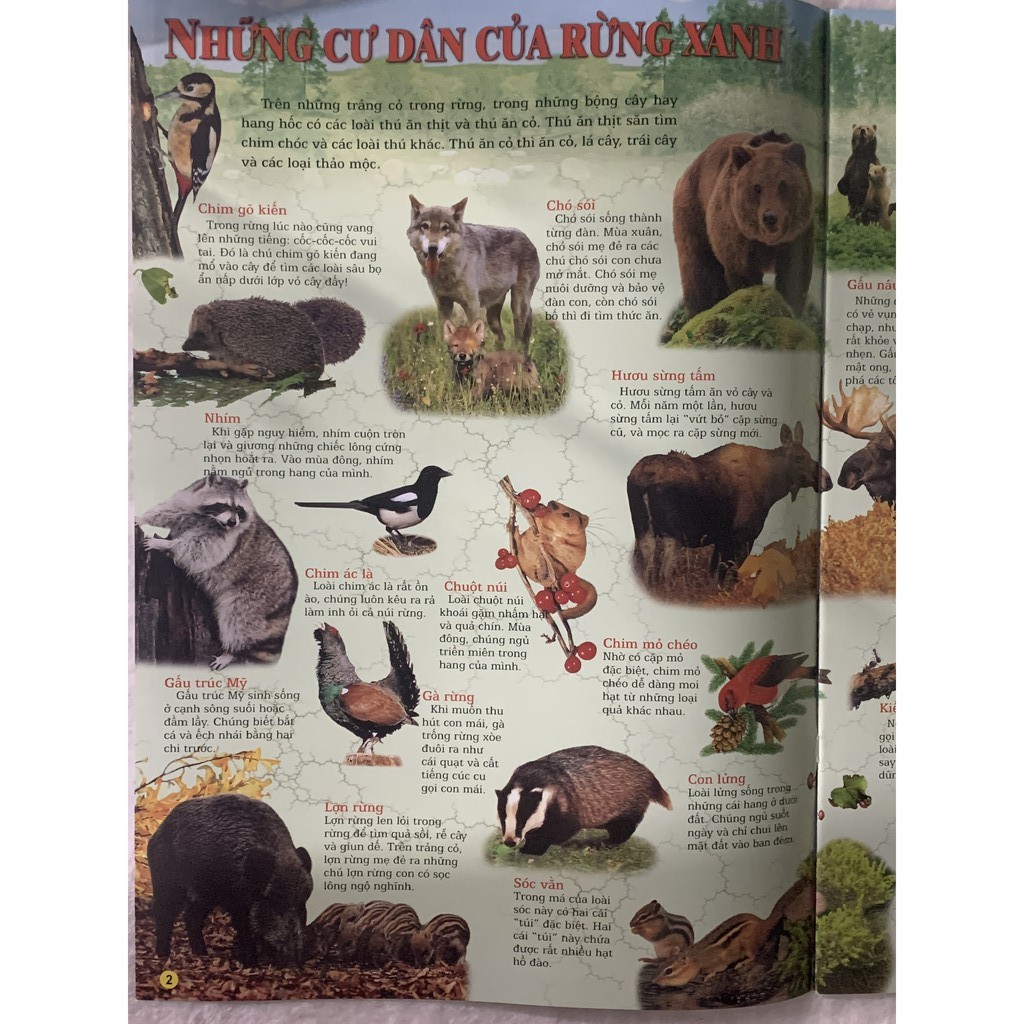 Sách - Quyển Tranh - Thế Giới Động Vật