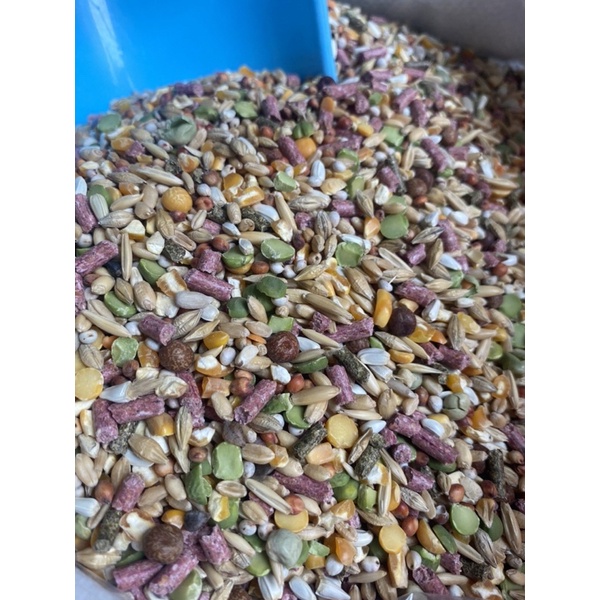 Ngũ cốc đạm Platinum dành cho gà đá (1kg) - Pet Food Store.
