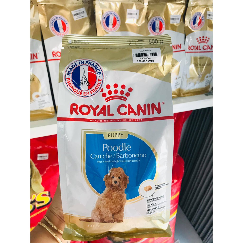 Thức ăn cho Poodle - Royal canin Poodle Puppy gói 500g