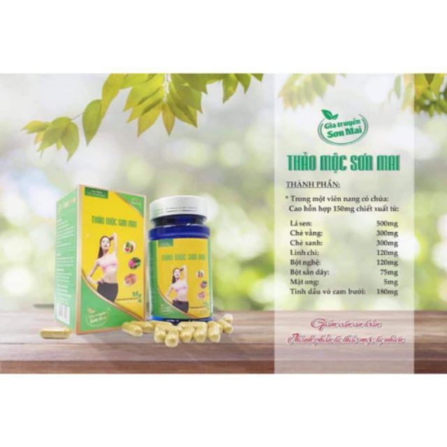 Giảm Cân Gia truyền Sơn Mai | BigBuy360 - bigbuy360.vn