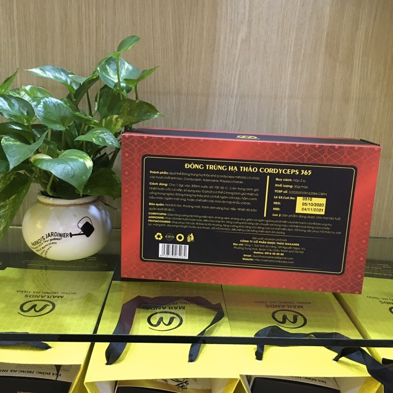 Đ𝐨̂𝐧𝐠 𝐓𝐫𝐮̀𝐧𝐠 𝐇𝐚̣ 𝐓𝐡𝐚̉𝐨 𝐂𝐨𝐫𝐝𝐲𝐜𝐞𝐩𝐬 𝟑𝟔𝟓 | BigBuy360 - bigbuy360.vn