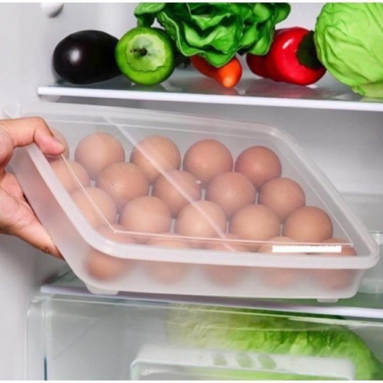 khay đựng trứng 24 quả