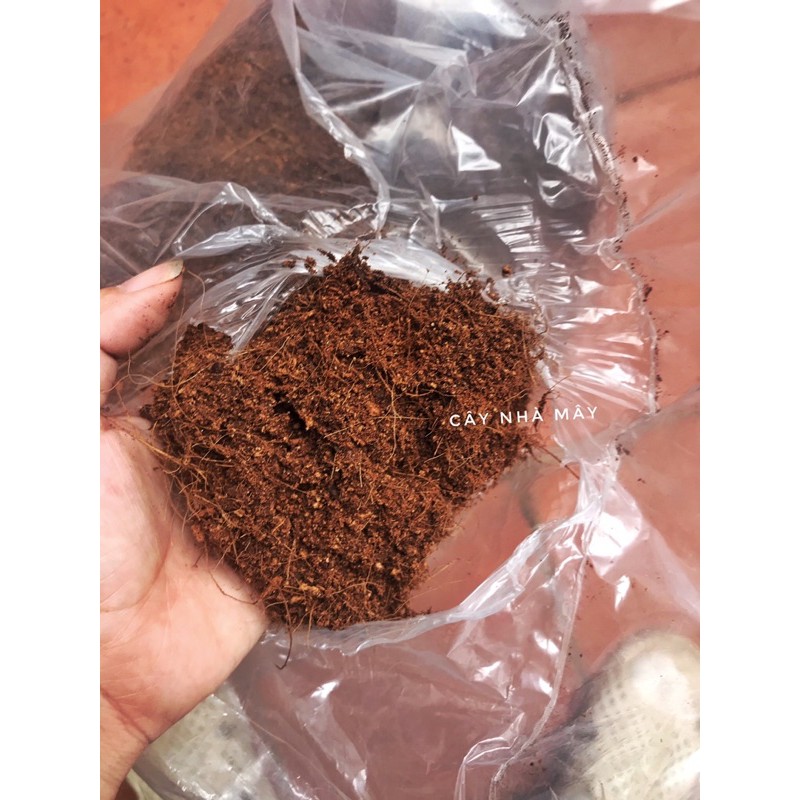 Xơ dừa trộn đất trồng cây, ươm hạt, rau mầm (Bao 5kg)