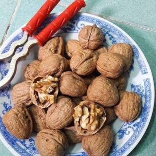 Combo 500gr óc chó Mỹ +500 gr đậu gà