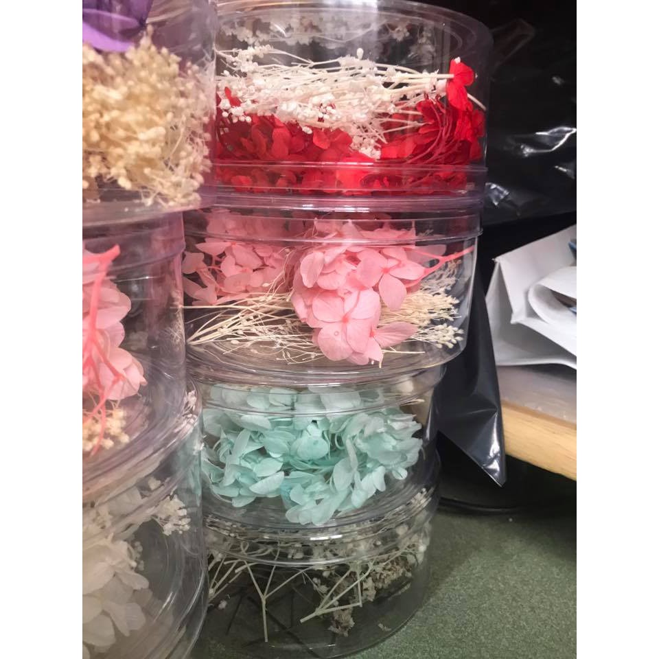 Hộp hoa cẩm tú cầu khô + baby khô hộp lớn cài tóc cô dâu