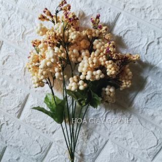 CDHHX- Cành điểm hoa hạt xốp