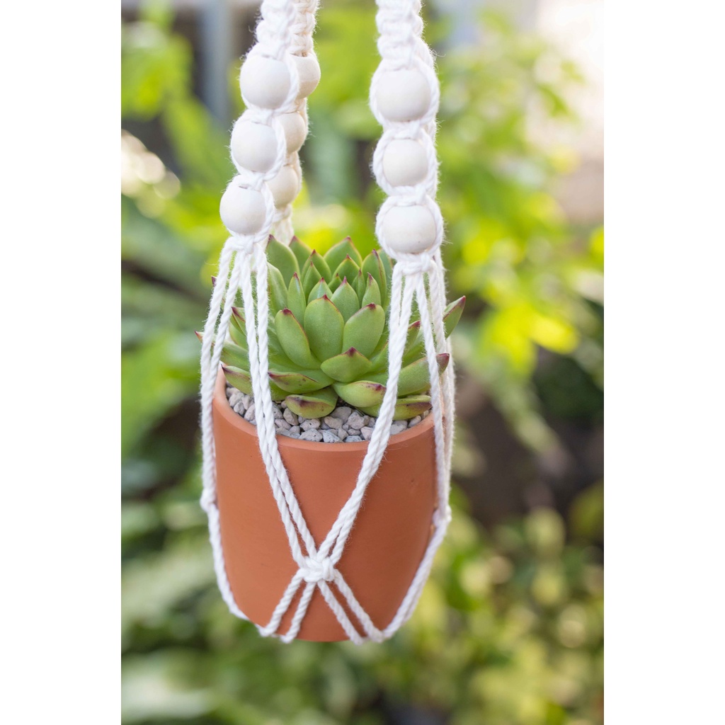 Dây treo chậu cây trang trí Macrame - MS: 08