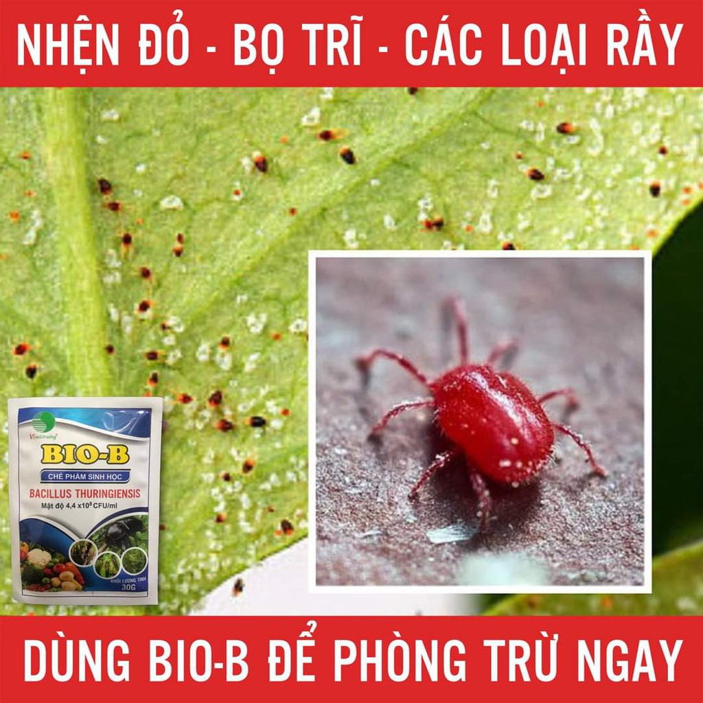 ( COMBO 5 CHAI 1 LÍT ) THUỐC DIỆT MUỖI CHAI NHÔM 1L PERMETHRIN 50EC