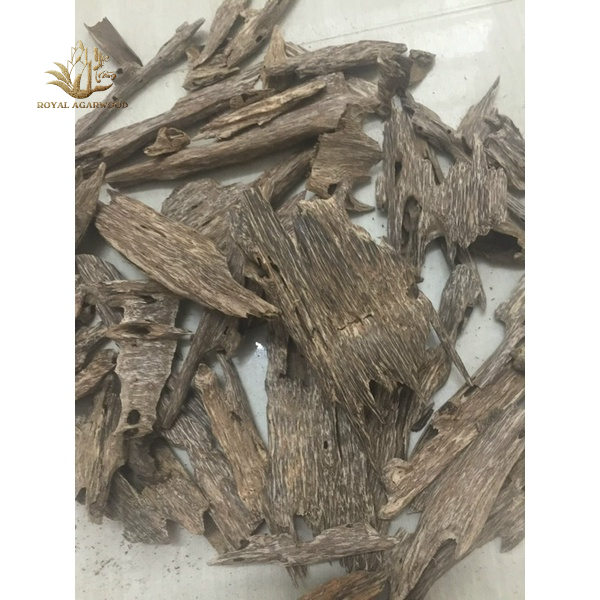 Trầm hương Kiến xí trầm xay làm bột nhang,lấy tinh dầu, ghép cảnh, xông đốt phong thuỷ
