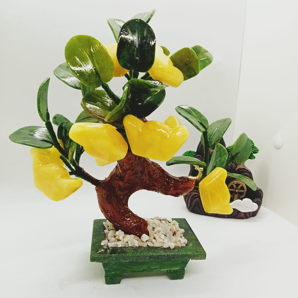Cây Tài Lộc - Cây Kim Tiền Thỏi vàng Đá Ngọc Hoàng Long - Cao 25cm
