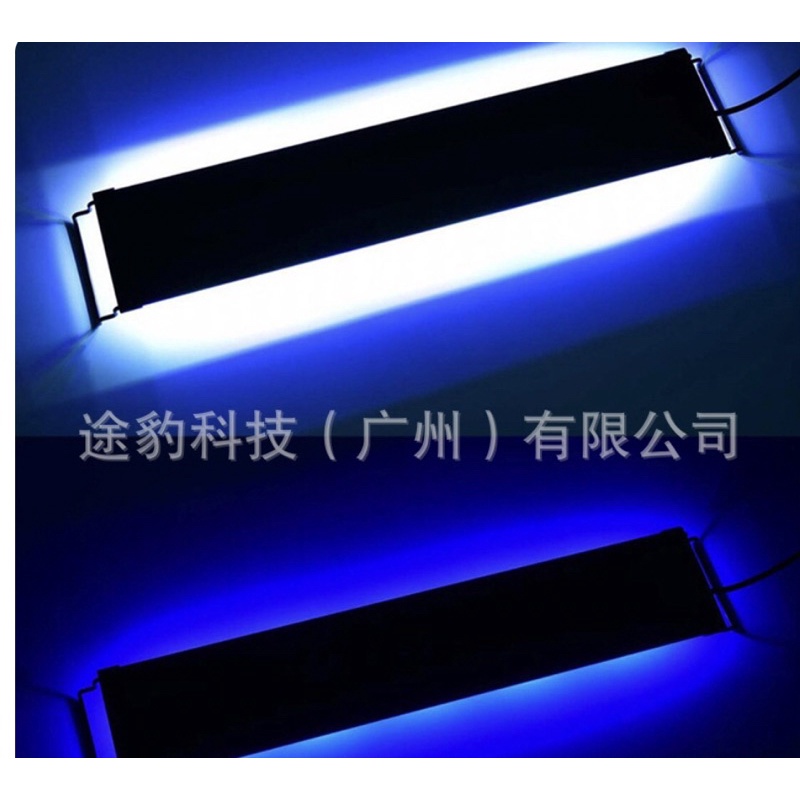 Đèn led cá biển