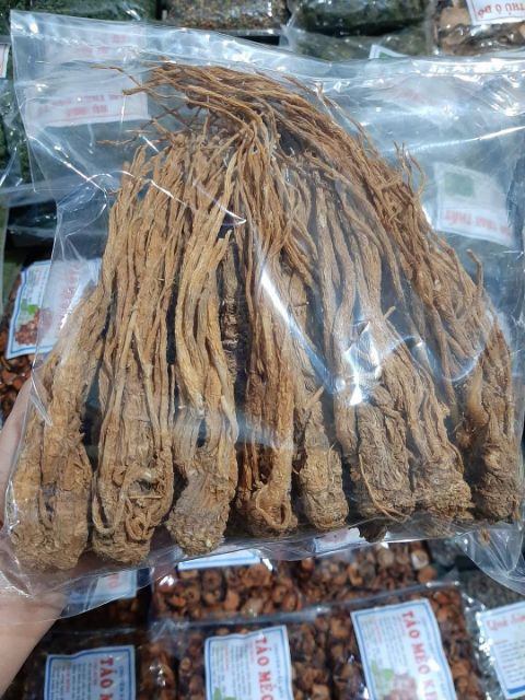 Sâm Đương Quy Tươi 1Kg