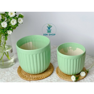 Chậu men trồng cây.