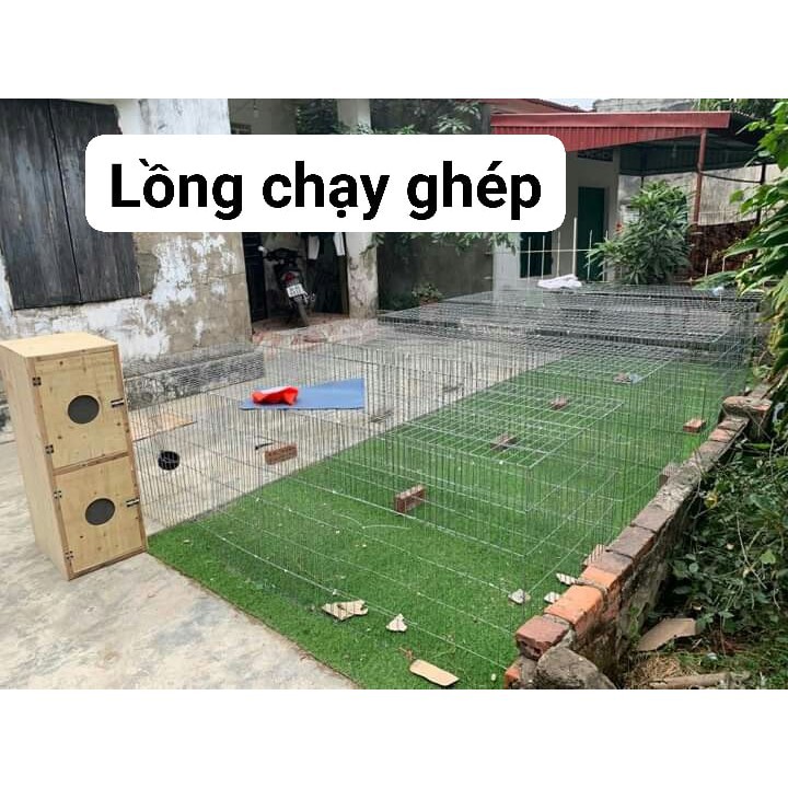 Lồng chạy tập thể lực cho gà