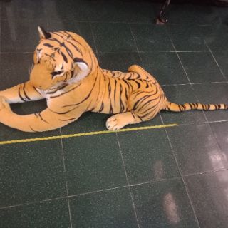 Thú bông Hổ vàng 73cm