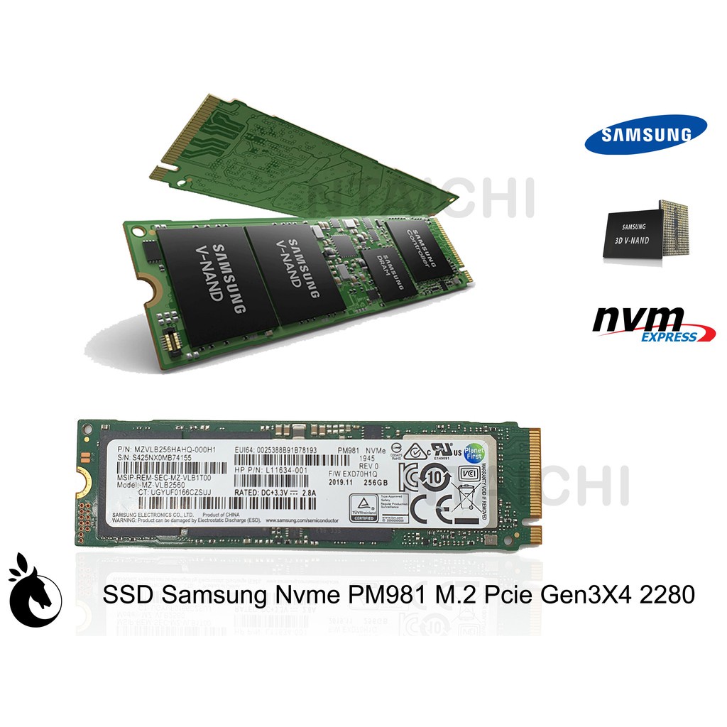 (Hàng Mới Về) Ổ cứng SSD Samsung NVMe PM981 M.2 Pcie Gen3X4 2280 256GB | 512GB
