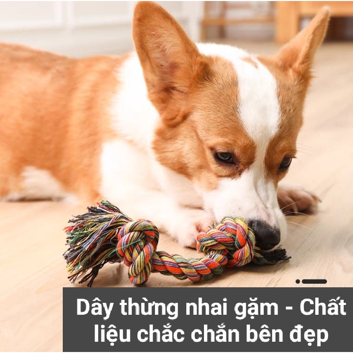 Đồ chơi Dây bện hình xương nhiều màu chất liệu cotton bền đẹp giảm stress và sạch răng cho thú cưng