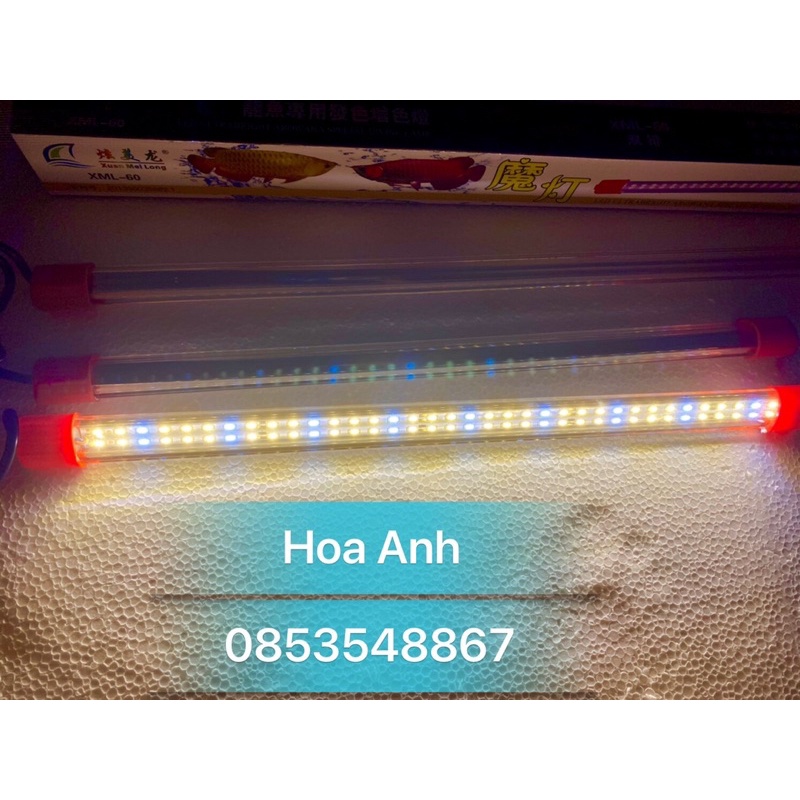 Đèn Led XML 2 Hàng Bóng, Hồ 60cm/80cm/100cm/120  Chuyên Dụng Cho Cá Rồng