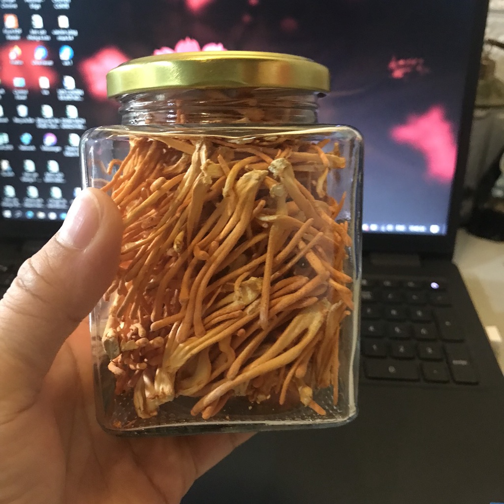 Đông Trùng Hạ Thảo Bio Gold  Sấy Khô Sợi To  Ngon Hàng Cao Cấp Bồi Bổ Cơ Thể