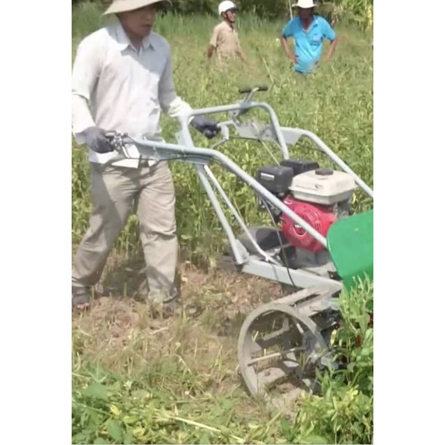 1lít dầu mè (vừng) trắng nguyên chất tự ép