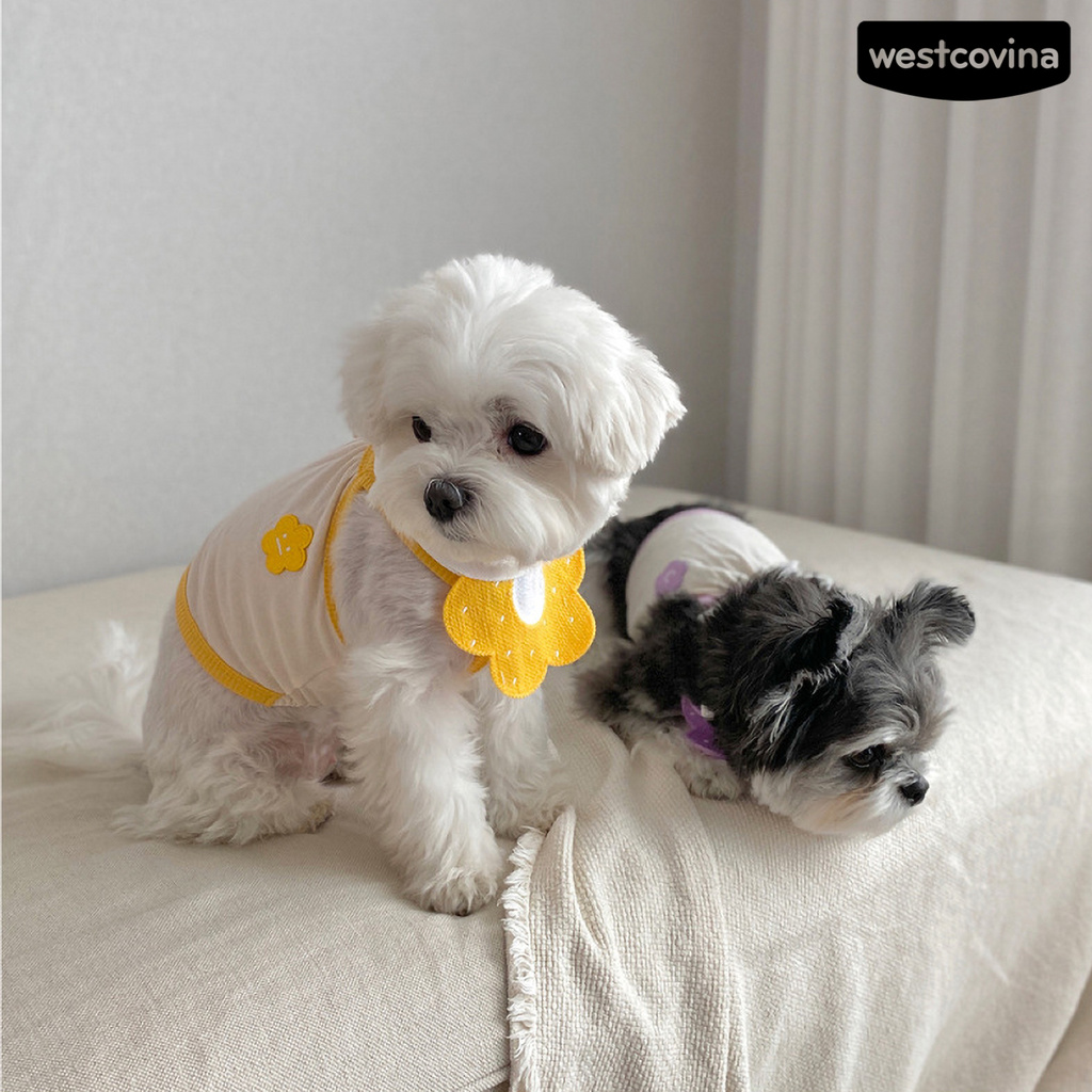 Vòng cổ kèm yếm ăn dệt kim hình bông hoa đáng yêu cho cún cưng