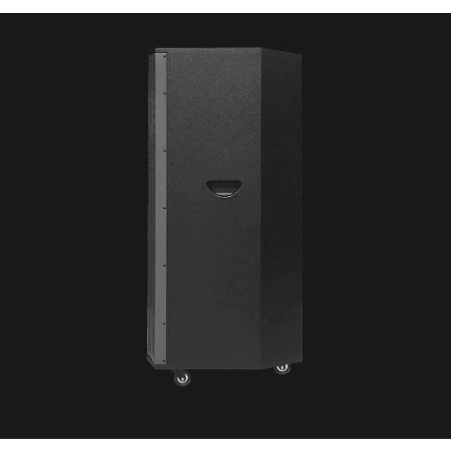 Loa kéo Prosing W215B (Bass đôi 40cm, 200W, Tặng 2 micro, Pin 3-8h)