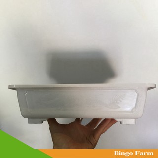 Chậu Bonsai chữ nhật 30