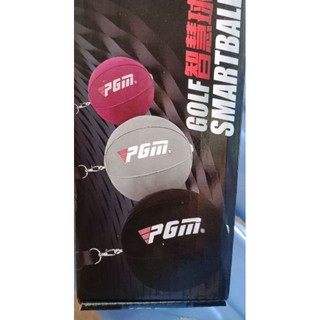 bóng tập xuynh PGM cao cấp