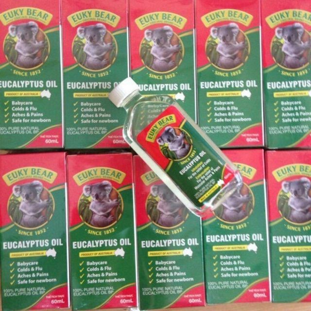 DẦU KHUYNH DIỆP ÚC EUKY BEAR